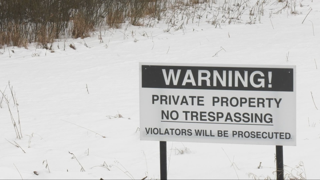 Winnipeg News: Injunction granted against protesters in LeMay Forest [Video]