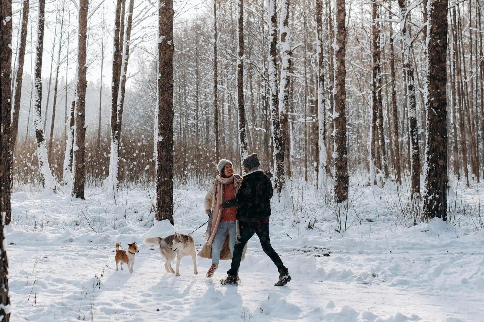 Jan. 1 weather: Over 10 cm of snow possible on New Year’s Day in southern Ontario [Video]