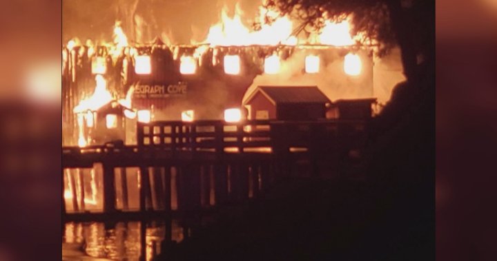 Homes, pub, museum, historic boardwalk among ruins of Telegraph Cove fire – BC [Video]