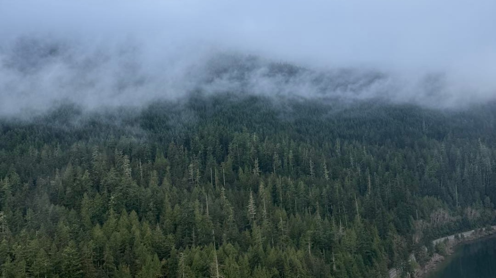 Missing B.C. hiker with arrest warrant found after friends delay report [Video]