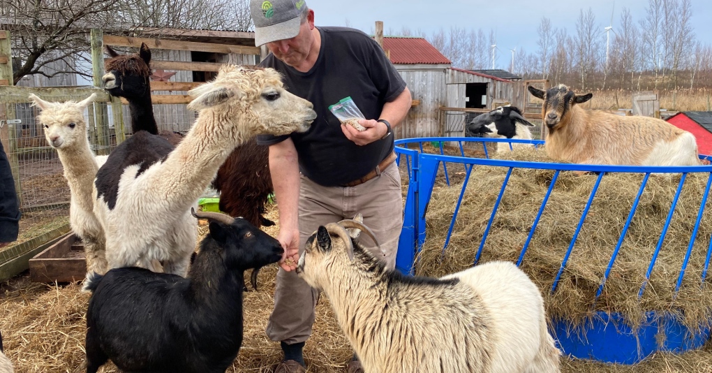 Amherst, N.S., farm invites animal loving visitors [Video]