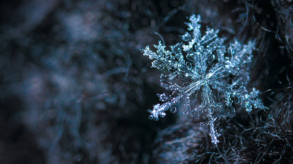 Heavy snow and snow squall warnings for parts of southwestern Ontario [Video]