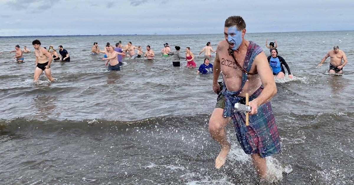 Hamilton polar dippers make a splash on New Years Day [Video]