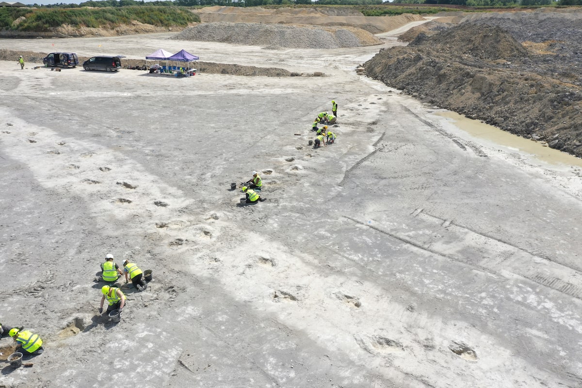 Dinosaur highway tracks dating back 166 million years discovered in England [Video]