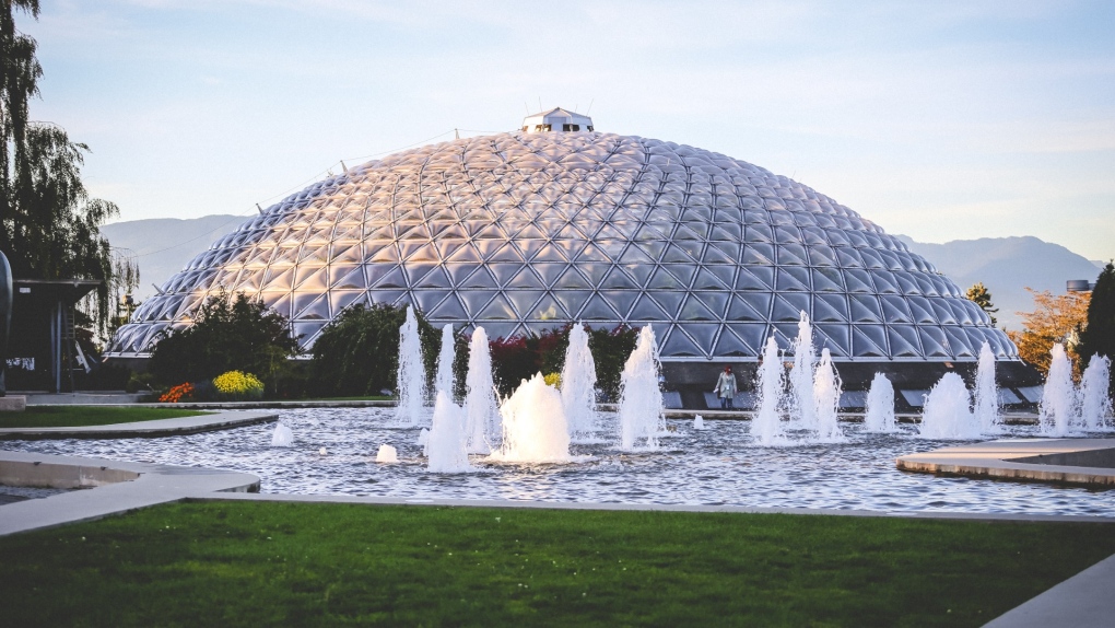 Things to do in Metro Vancouver on the first weekend of 2025 [Video]