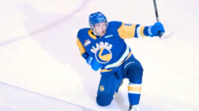 Saskatoon Blades trade veteran forward Lisowsky to Victoria Royals [Video]