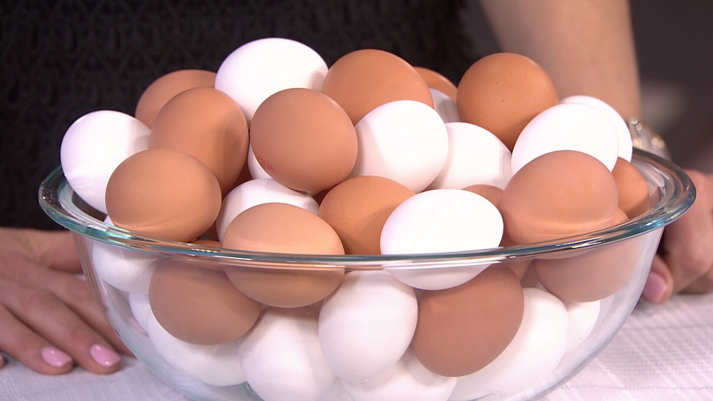 Egg shortages at B.C. stores should ease soon: industry [Video]