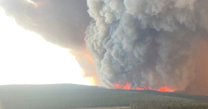 Canada primed for more severe wildfire days, driven by dry forest fuel: Study [Video]