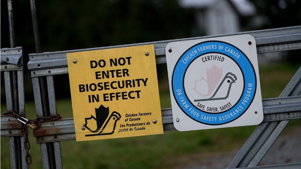 Case of B.C. teen with avian flu shows ‘worrisome’ mutation of virus [Video]