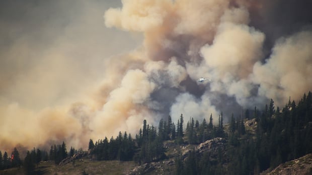 Canadian forests primed for more severe wildfire days, new research warns [Video]