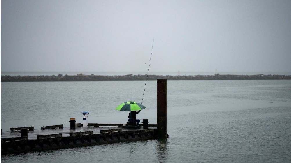 Environment Canada: 2024 was Vancouver’s wettest year so far this century [Video]