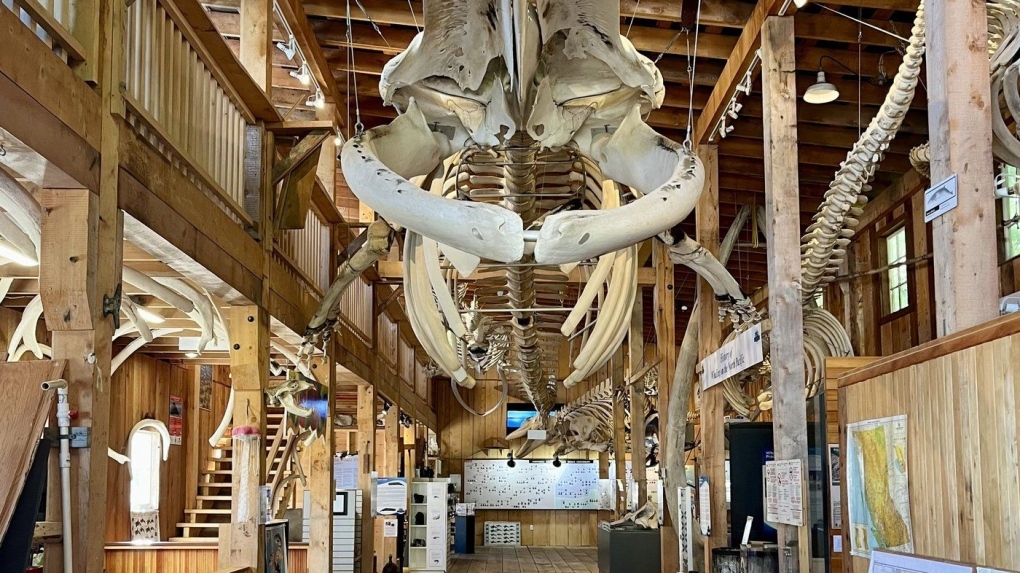 Museum of whale skeletons consumed by B.C. fire [Video]