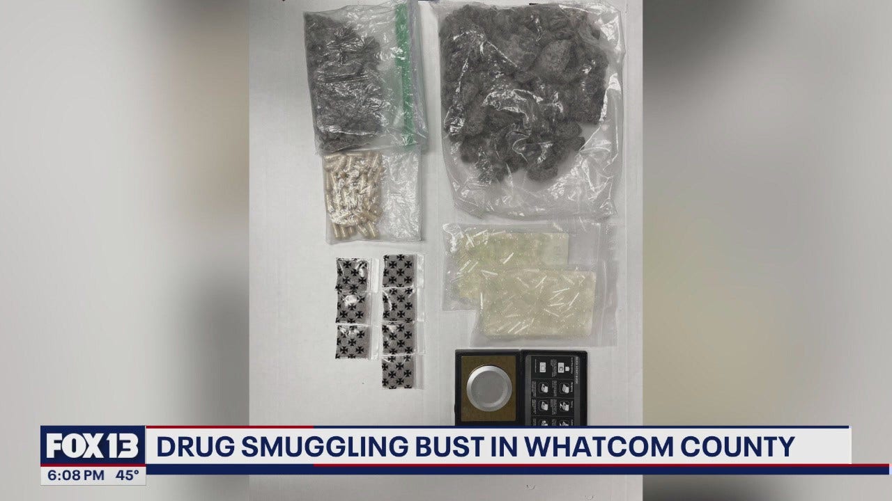 Man arrested for smuggling thousands of MDMA doses from Canada to US [Video]