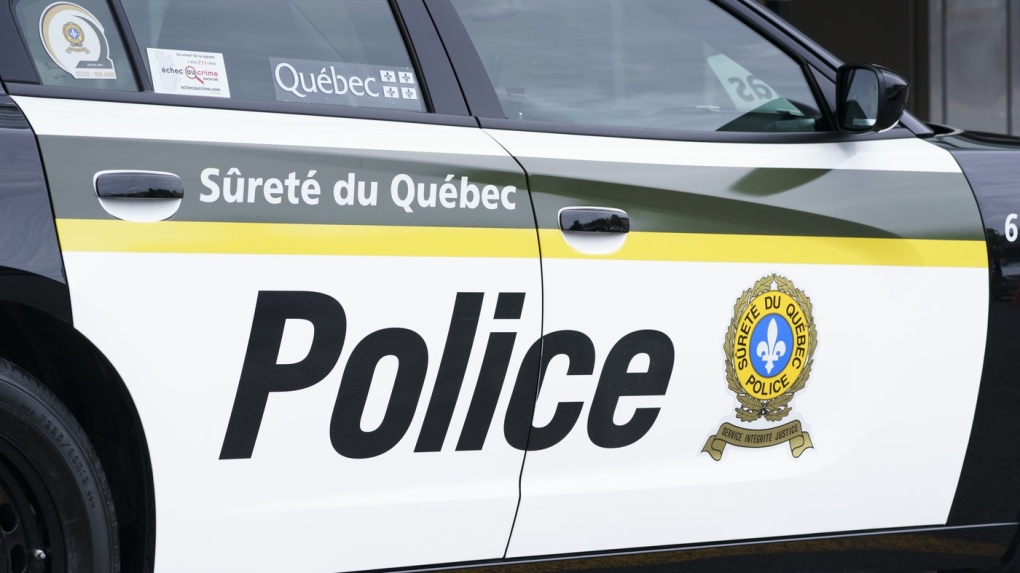 Quebec man who allegedly stole salt truck, climbed tree to evade police arrested [Video]