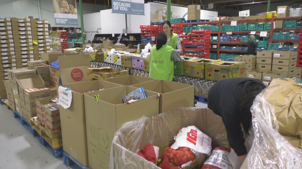 Edmonton’s Food Bank struggles to meet year-end goals [Video]