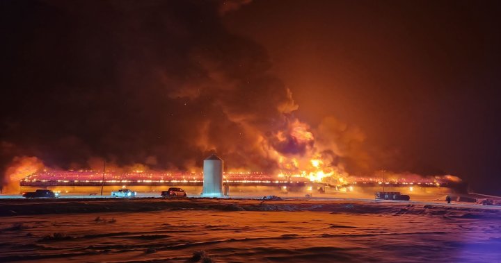 Hogs killed in massive barn fire at southern Alberta Hutterite colony [Video]