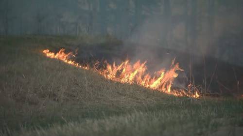 New study warns of more severe fire risk in Canada without preventive measures [Video]