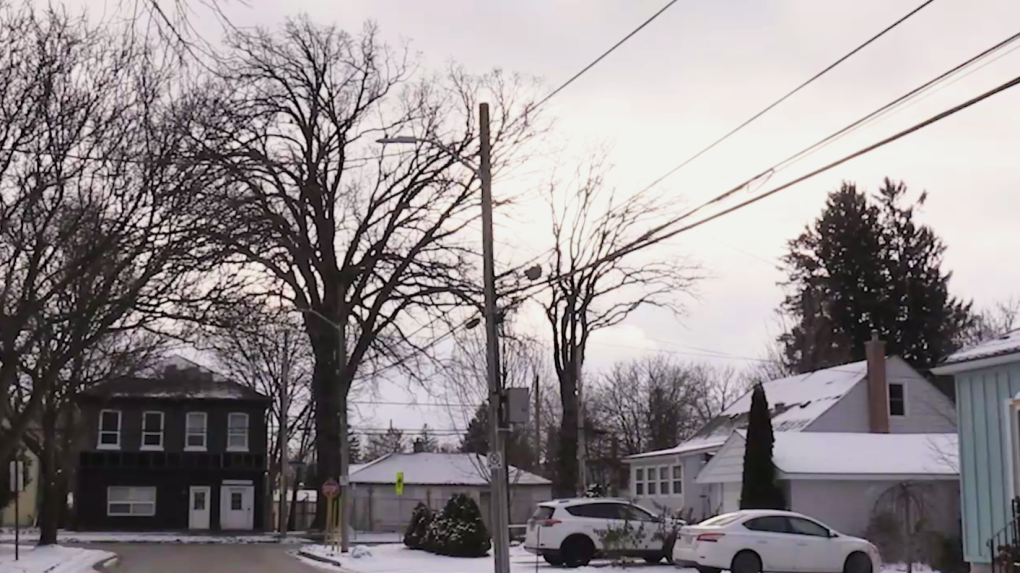 200-year-old oak tree may be protected due to it’s history [Video]