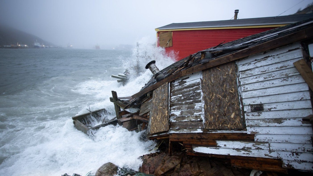 Thousands are without power in N.L. due to winter storm [Video]