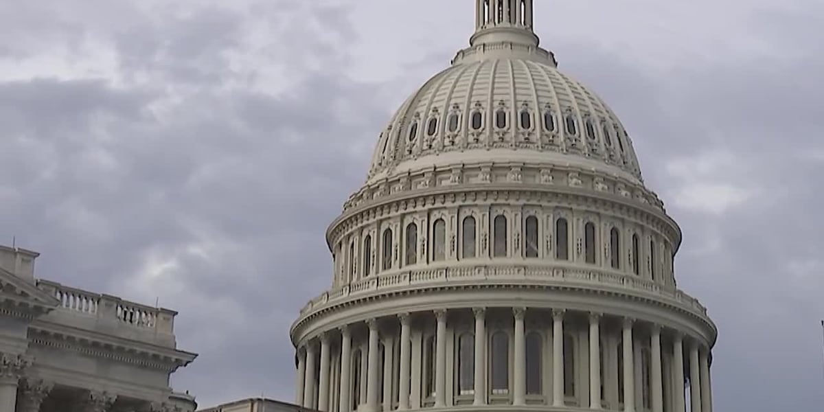 Congress to certify election results Monday [Video]