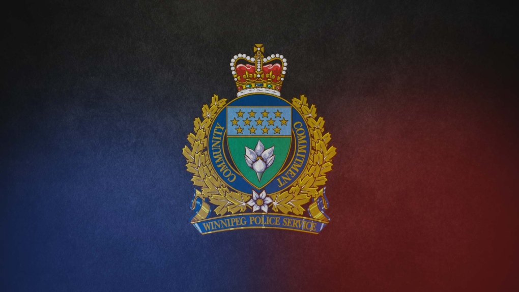 Winnipeg police make arrests in stolen vehicle incidents [Video]