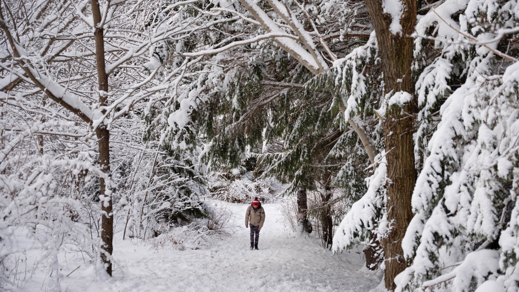 Canada weather: Winter storm, extreme cold plague provinces [Video]