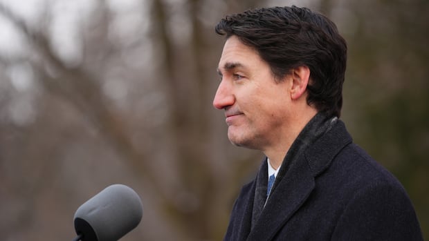 How will replacing Trudeau work? Breaking down a Liberal leadership contest [Video]