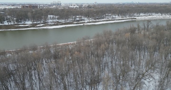 Protestors can stay, but cant block Lemay forest access: judge – Winnipeg [Video]