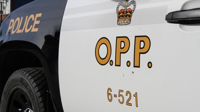 OPP says not to throw things at vehicles [Video]