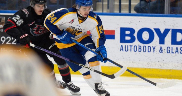 Saskatoon Blades move star Molendyk to Medicine Hat in 9-piece blockbuster trade – Saskatoon [Video]