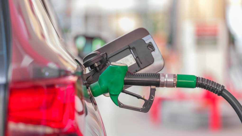 Man arrested for allegedly stealing gas from same Guelph gas station six times [Video]