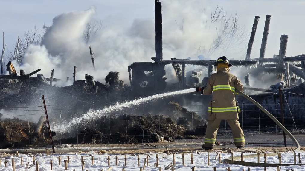 Ottawa barn fire kills 30 chickens [Video]