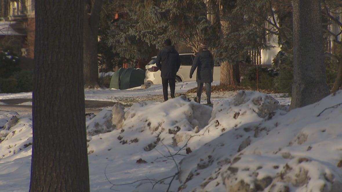 How Ottawa is preparing for the current cold snap [Video]