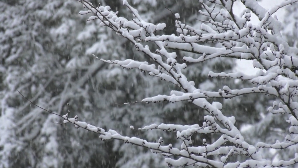 Lethbridge seeing less-than-average snowfall while Rockies return to average [Video]