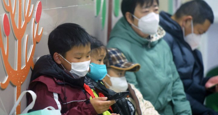 Rising cases of human metapneumovirus in China not unusual, WHO says – National [Video]