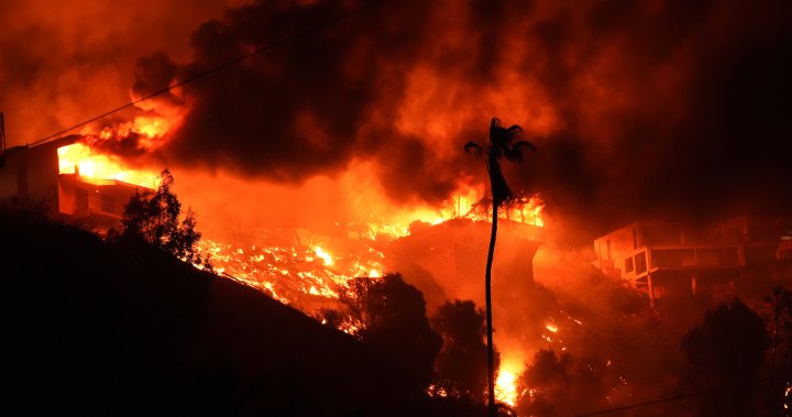 Los Angeles wildfires: Alberta plans to send water bombers, other resources to California [Video]