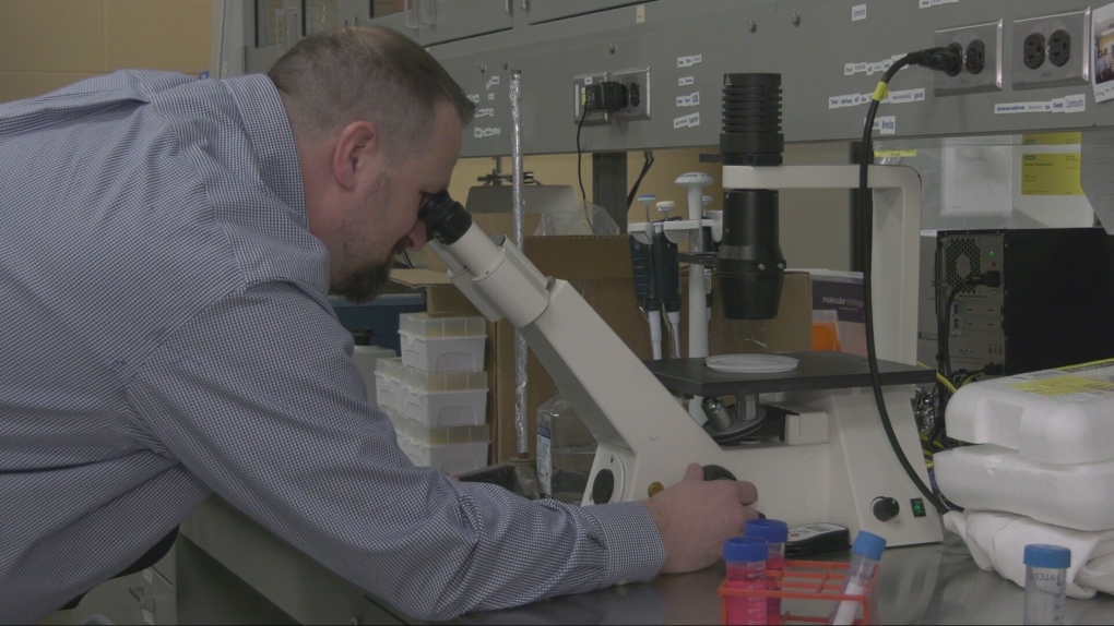 UW researchers using engineered bacteria to breakdown harmful microplastics in wastewater [Video]