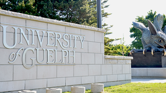 University of Guelph: More than 150 cases of gastroenteritis reported [Video]