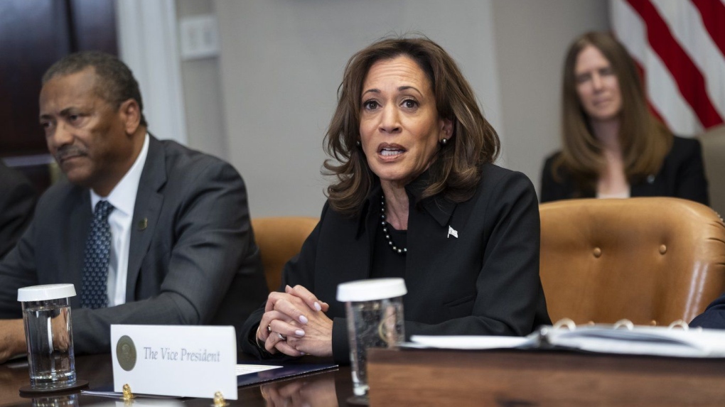 LA wildfires: Kamala Harris cancels upcoming trips [Video]