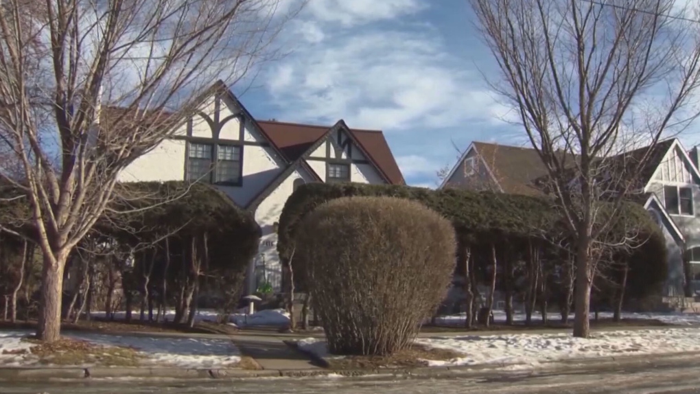 Calgary property tax assessments mailed out [Video]