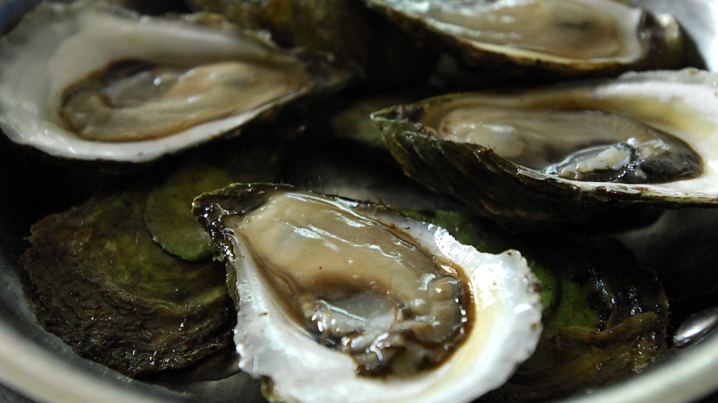 MSX: P.E.I. oyster industry calls for help over parasite [Video]