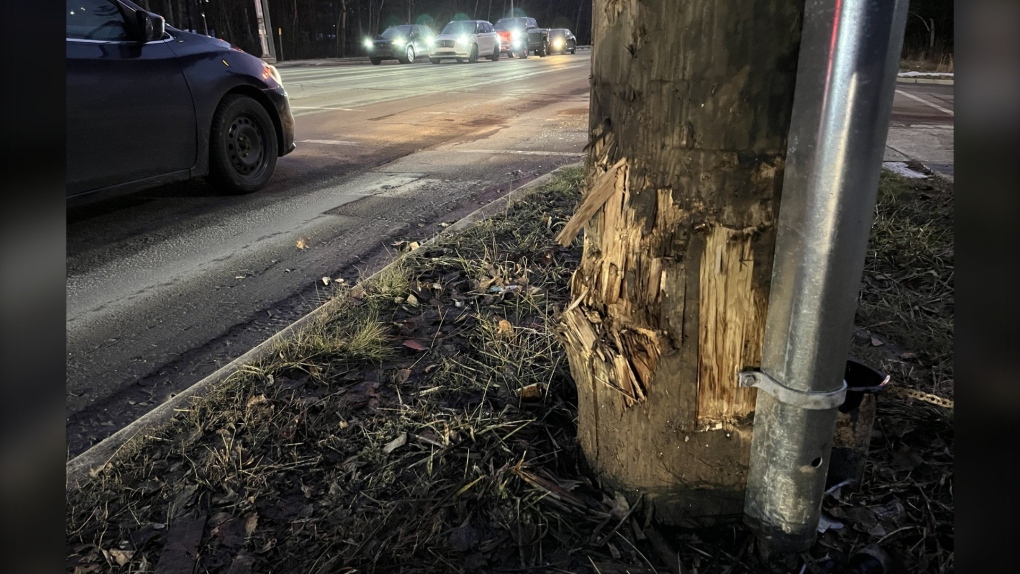 Man killed in Moncton crash [Video]