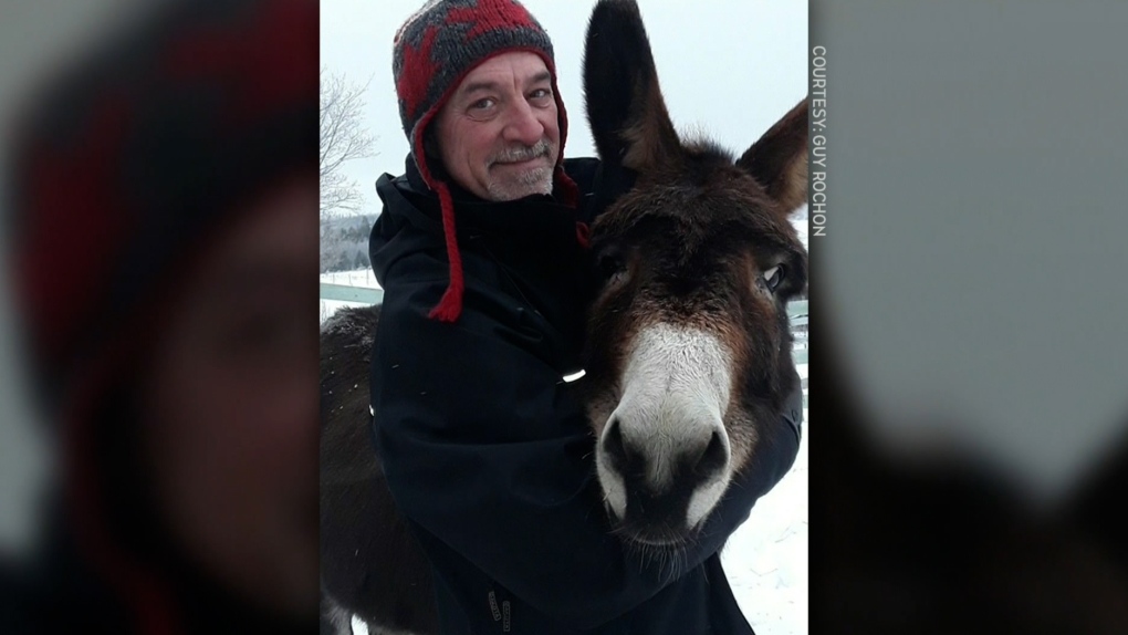 N.S. news: Man mourns death of donkey [Video]