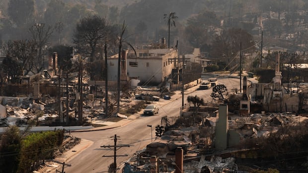 Why are trees still standing next to burned-out buildings in Los Angeles? The answer is simple [Video]