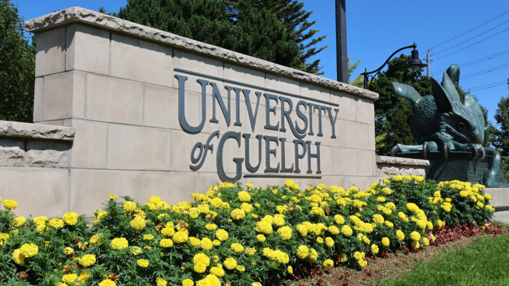 University of Guelph: 190 students sick with gastroenteritis [Video]