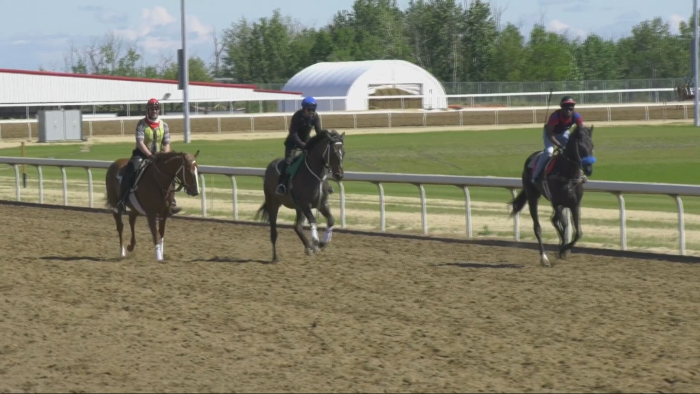 Research study to explore how to prevent injuries and death in racehorses [Video]