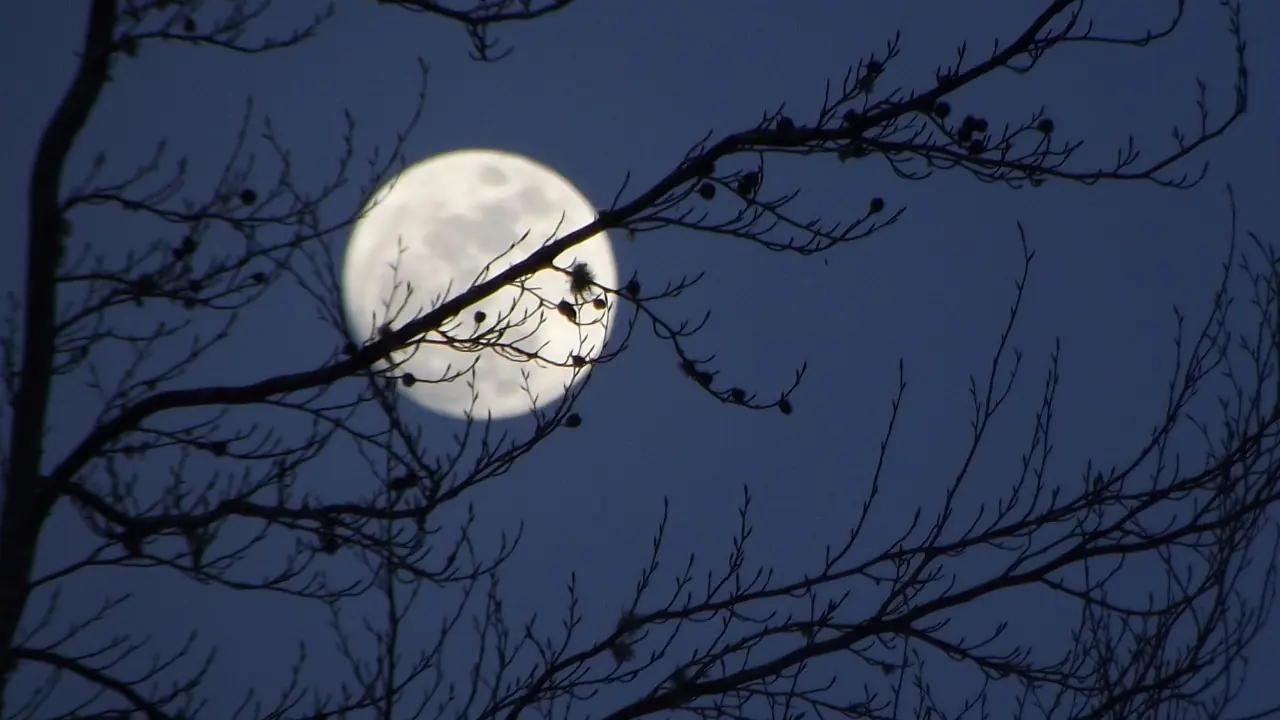 First full moon of 2025 coming up this week in Ontario [Video]