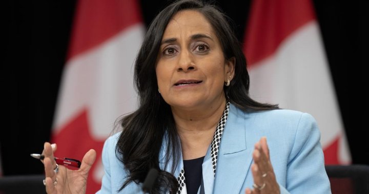 Transport Minister Anita Anand wont make bid for Liberal leadership or re-election – National [Video]