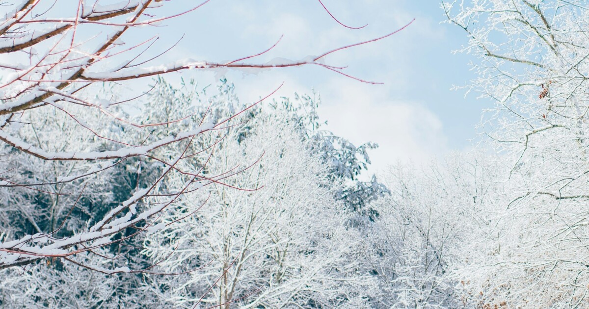 Few more flakes on Sunday [Video]