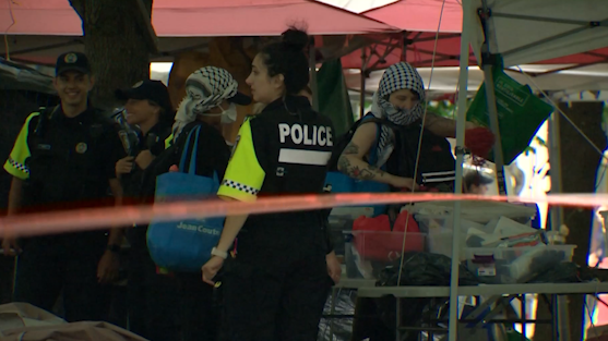 Protesters from Montreal pro-Palestinian encampment seeking damages in class-action lawsuit [Video]